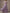 Light Purple Chiffon Off Shoulder Ruffle Sleeves Maxi Dress