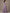 Light Purple Chiffon Off Shoulder Ruffle Sleeves Maxi Dress
