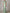 Sage Green Round Neck Satin Maxi Dress