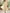 Cream Printed Chiffon V-Neck Puff Sleeve Long Sleeve Midi Dress