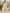 Cream Printed Chiffon V-Neck Puff Sleeve Long Sleeve Midi Dress