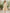 Cream Printed Chiffon V-Neck Puff Sleeve Long Sleeve Midi Dress