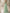 Sage Green Scoop Neck Sleeveless Lace Chiffon A‑Line Maxi Dress with Matching Chiffon Shawl