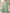 Sage Green Scoop Neck Sleeveless Lace Chiffon A‑Line Maxi Dress with Matching Chiffon Shawl