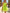 Yellow Green Strapless Bow Tulle Mini Dress