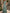Sage Green Round Neck Asymmetrical Ruffled Satin Maxi Dress