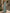 Sage Green Round Neck Asymmetrical Ruffled Satin Maxi Dress