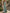Sage Green Round Neck Asymmetrical Ruffled Satin Maxi Dress