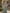 Sage Green Round Neck Asymmetrical Ruffled Satin Maxi Dress