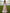Pink V-Neck Three Quarter Length Lace Satin Maxi Dress