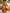 Long Sleeve Chiffon With Orange Floral Print And Deep V-Neck Maxi Dress