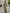 Sage Green V-Neck Lantern Sleeve Chiffon Maxi Dress