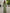 Sage Green V-Neck Lantern Sleeve Chiffon Maxi Dress