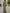 Sage Green V-Neck Lantern Sleeve Chiffon Maxi Dress