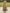 Olive Green Base With Pink Floral Print Off Shoulder Design Maxi Dress