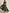 Olive Green Off Shoulder Satin Pleated Hem Maxi Dress