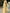 One‑Shoulder Draped Chiffon Flowy Cape Strap A‑Line Maxi Dress