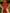 Round‑Neck Crepe Beaded Keyhole Cutout & Bishop Puff Sleeves Evening Maxi Dress