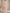 Boat-Neck Shawl-Sleeve Pleated Knit Evening Maxi Dress