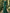 Bateau Neck Lace Bishop Sleeve Chiffon A-Line Maxi Dress