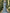 Bateau Neck Lace Bishop Sleeve Chiffon A-Line Maxi Dress