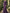 Bateau Neck Lace Bishop Sleeve Chiffon A-Line Maxi Dress