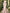 Bateau Neck Lace Bishop Sleeve Chiffon A-Line Maxi Dress