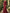 Bateau Neck Lace Bishop Sleeve Chiffon A-Line Maxi Dress
