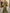 Olive Green Ruched Mermaid Maxi Dress
