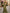 Olive Green Ruched Mermaid Maxi Dress