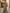 Olive Green Ruched Mermaid Maxi Dress