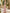 Mauve Pink Bateau Neck Long Lace Sleeve Maxi Dress