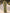 Sage Green Deep V-Neck Tulle Long Sleeves With 3D Flowers Maxi Dress