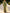 Sage Green Deep V-Neck Tulle Long Sleeves With 3D Flowers Maxi Dress