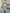 Off-white Botanical Floral Print Boat Neckline Midi Dress