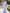Light Blue Chiffon Round Neck Pleated Three Quarter Length Flared Sleeves Maxi Dress