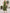 Olive Green Sleeveless Round Neck Bow Belt Maxi Dress