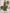 Olive Green Sleeveless Round Neck Bow Belt Maxi Dress