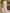 3D Floral Shoulder Cape Sleeve Floor‑Length Evening Maxi Dress