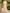 3D Floral Shoulder Cape Sleeve Floor‑Length Evening Maxi Dress