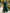 Floral Lace Chiffon 3/4 Sleeve Open Front Jacket And Dress 2-piece Set