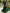 Floral Lace Chiffon 3/4 Sleeve Open Front Jacket And Dress 2-piece Set