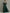 Dark Green Floor Length Chiffon V-neck Maxi Dress