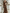Elegant Long Sleeve Satin Organza Ruffle Maxi Dress