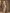 Asymmetrical One Shoulder Satin Maxi Dress