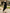 Black Square-neck Long-sleeve Velvet Top With Subtle Shimmer Maxi Dress