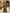 Champagne Asymmetric Off-the-Shoulder Satin Mermaid Maxi Dress