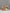 Champagne Floral Sequin Embroidered Evening Clutch Bag for Women Formal Party Dress