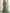 Sage Green Chiffon V-neck Long Sleeve  Maxi Dress