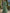 Sage Green Chiffon V-neck Long Sleeve  Maxi Dress